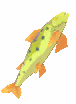 Greenhorn Dolo